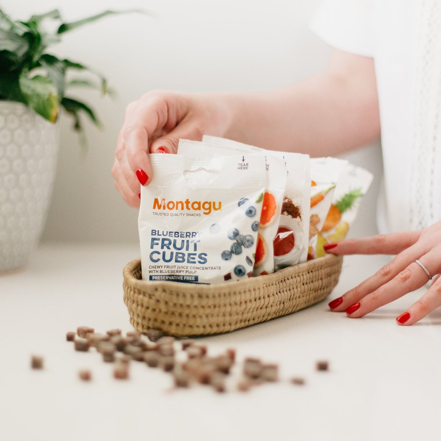 Montagu: Fruit Cubes - Blueberry-2
